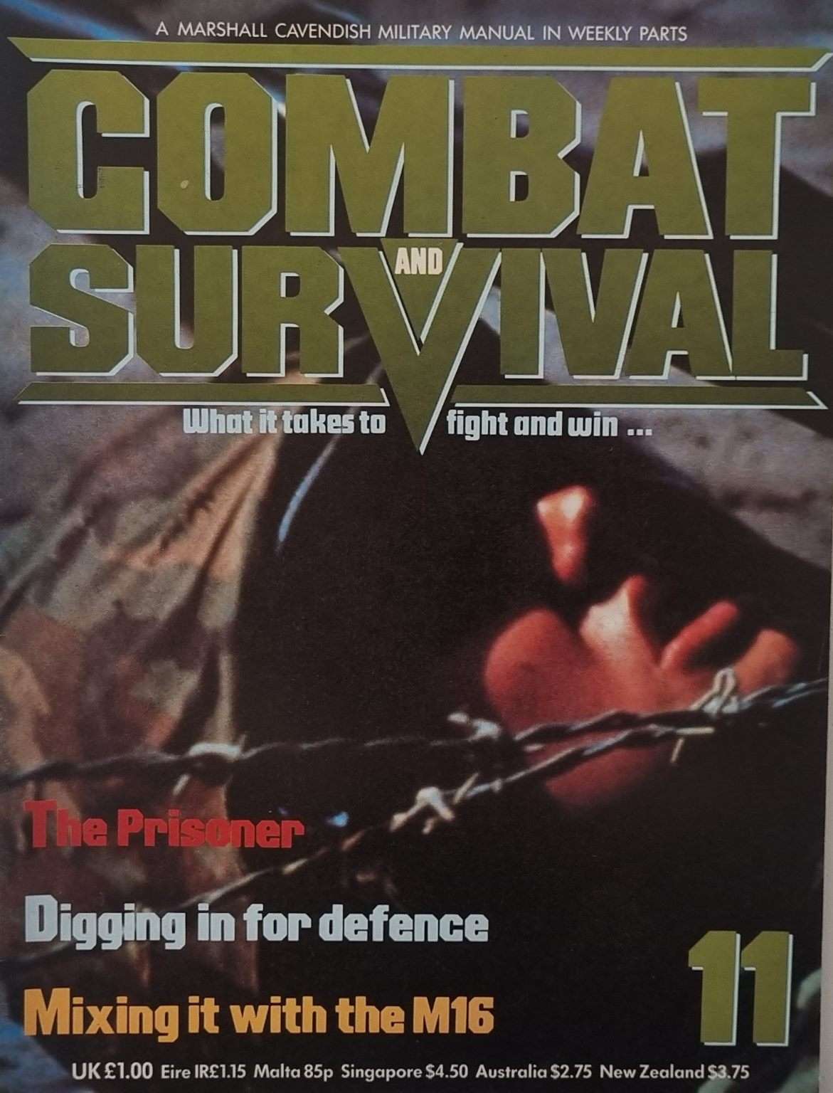 Combat and Survival - Issue 11