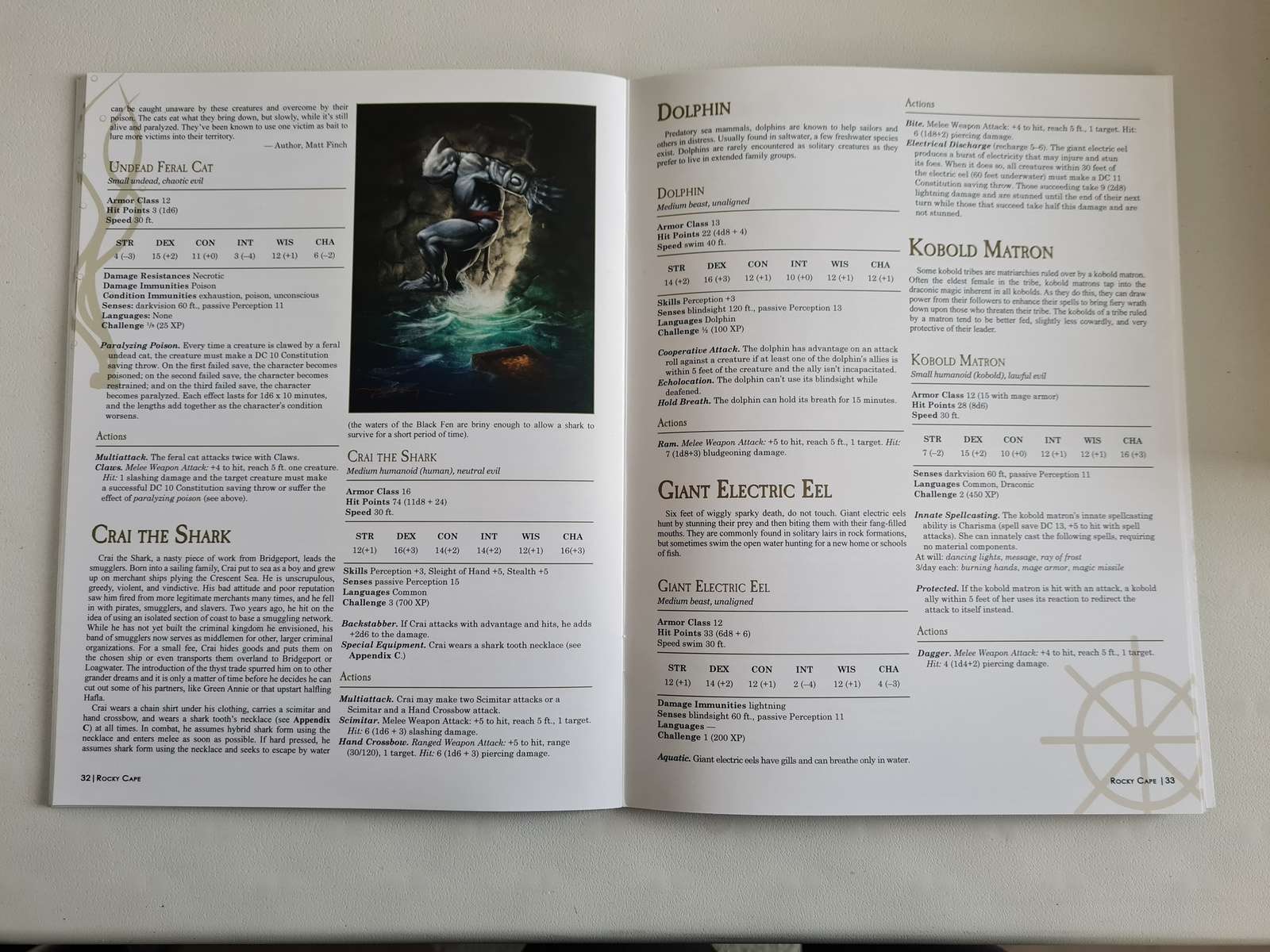 Rocky Cape - D&D 5th Edition 5e