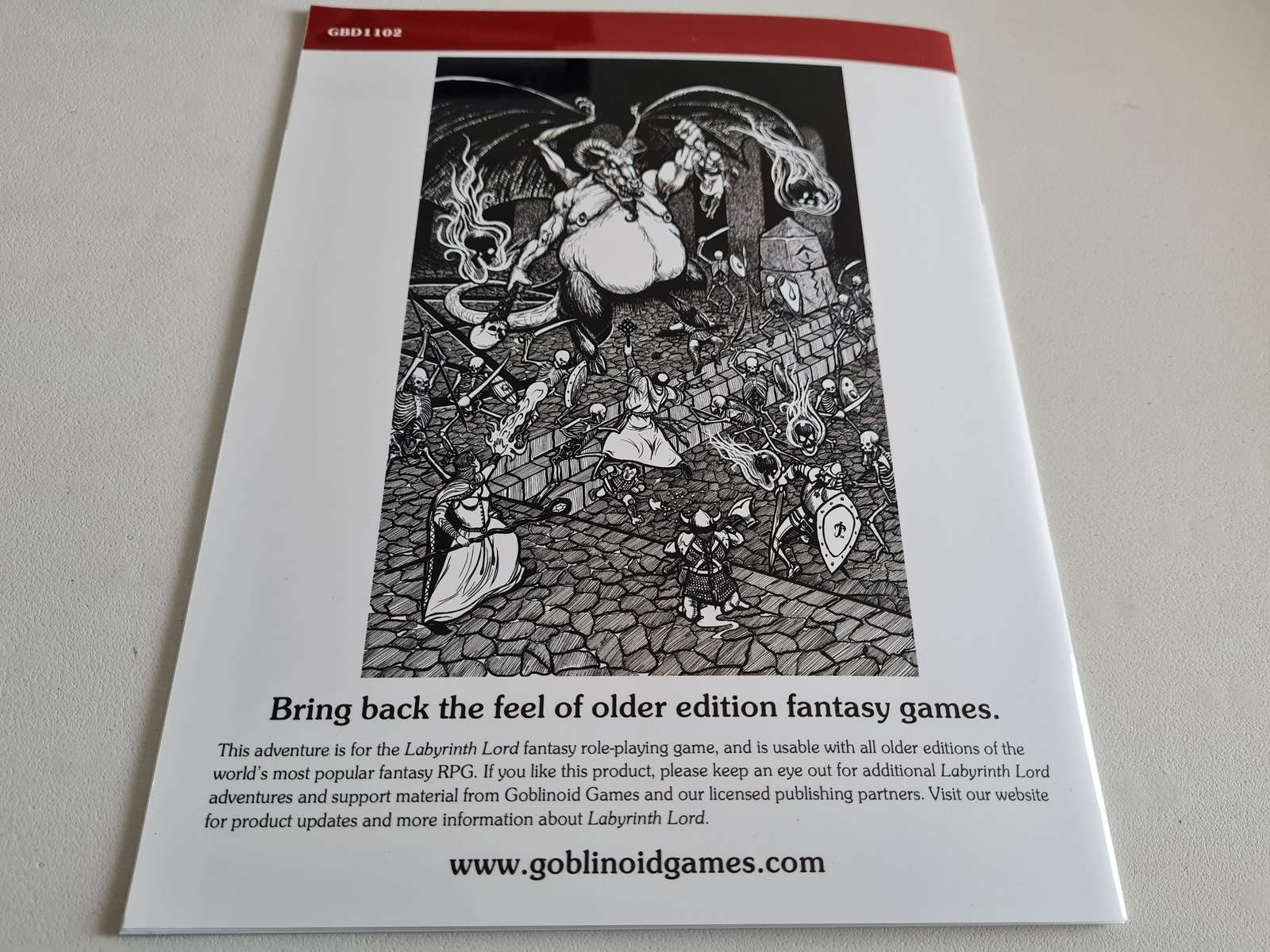 Labyrinth Lord - Shadowbrook Manor Module