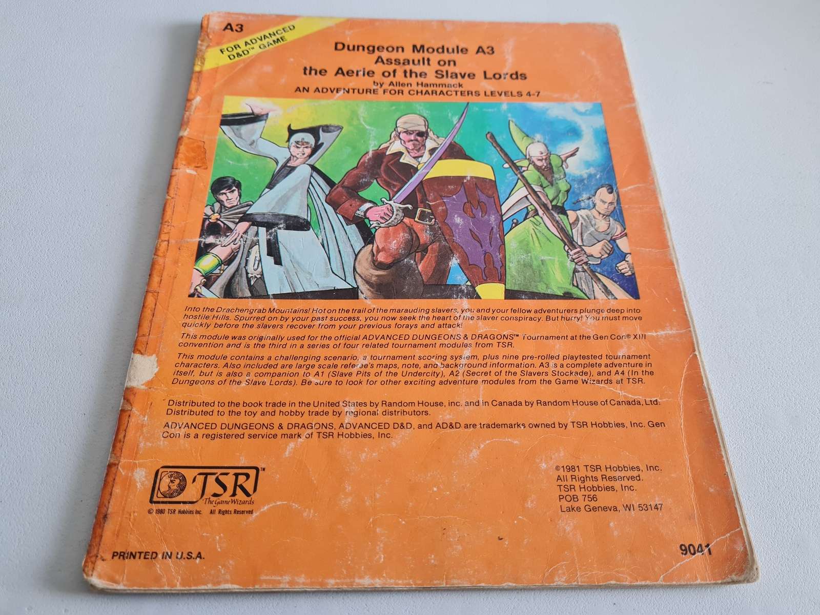 AD&D Module - Assault on the Aerie of the Slave Lords (D3)