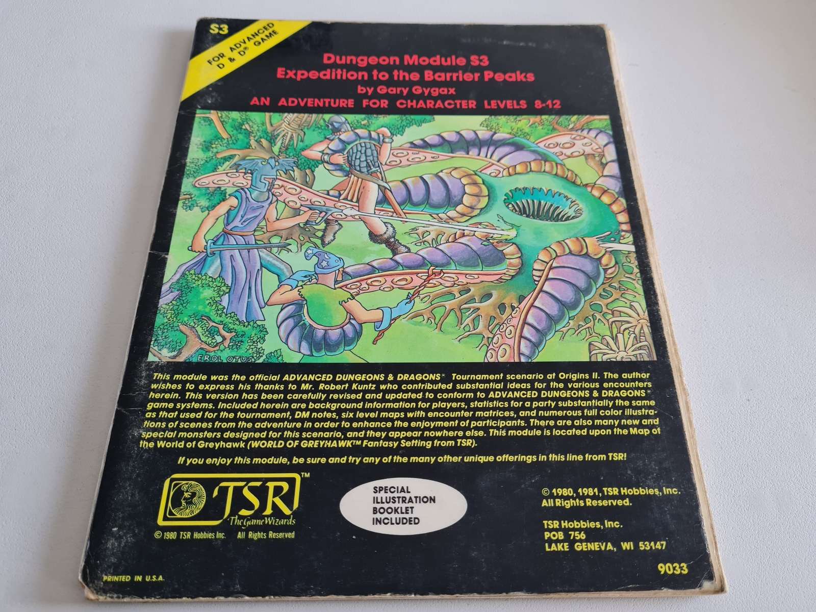 AD&D Module - Expedition to the Barrier Peaks (S3)