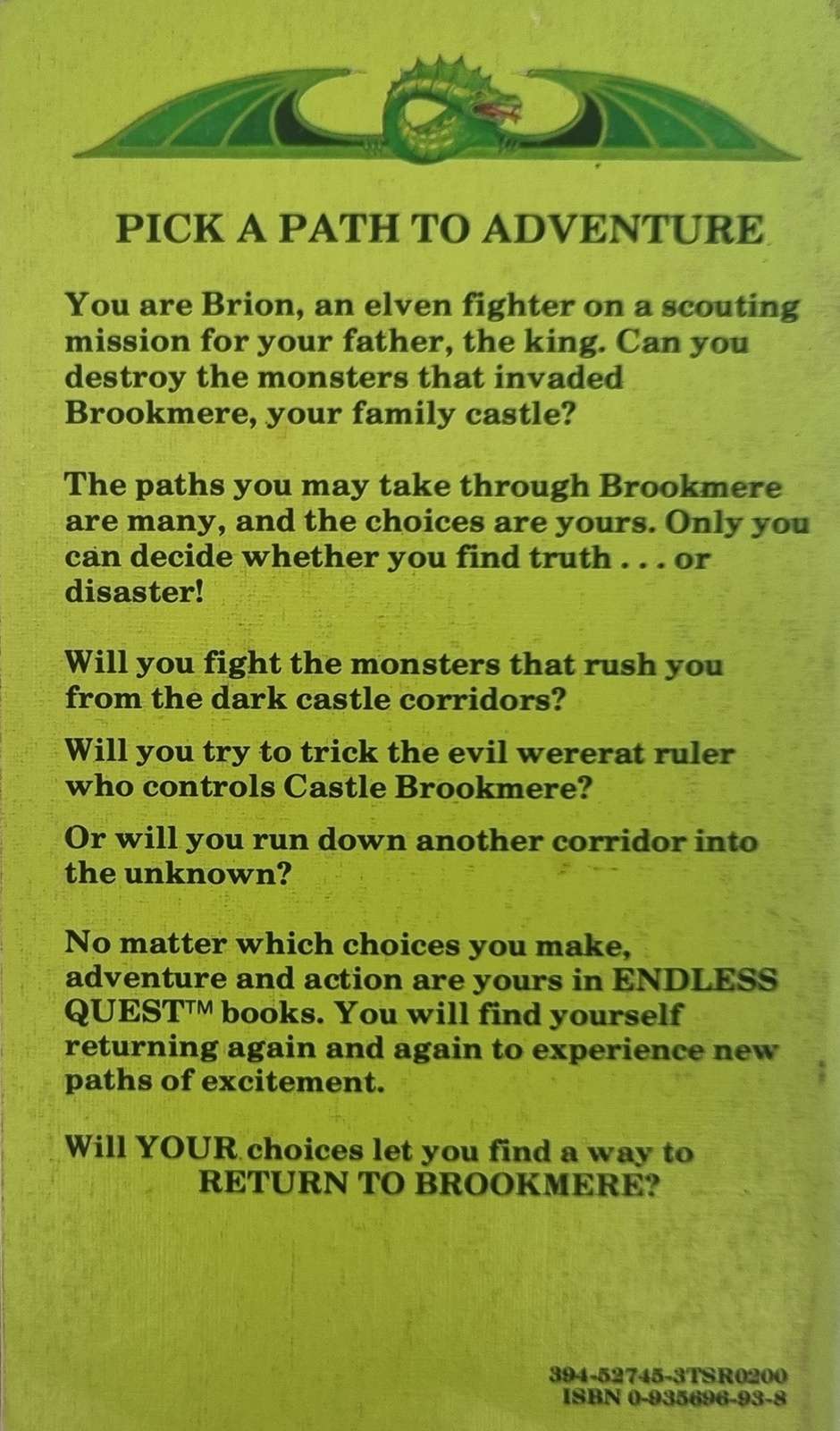 D&D Endless Quest Book - Return to Brookmere #4