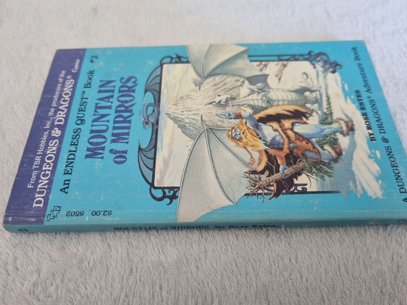 D&D Endless Quest Book- Mountain of Mirrors #2