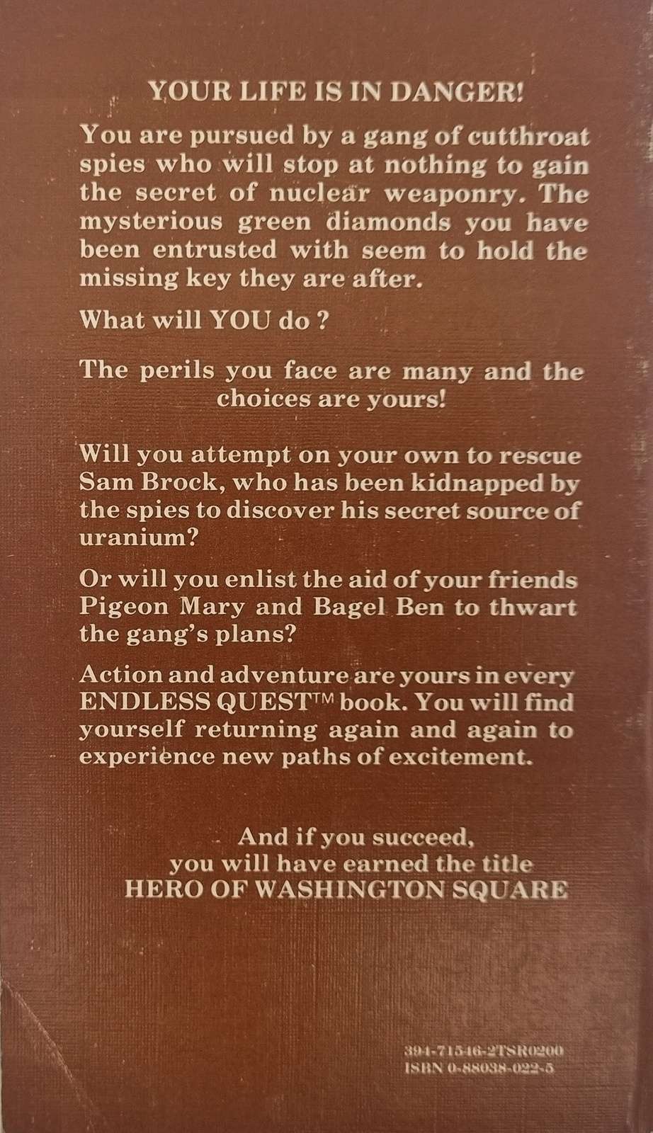 D&D Endless Quest Book - Hero of Washington Square #7