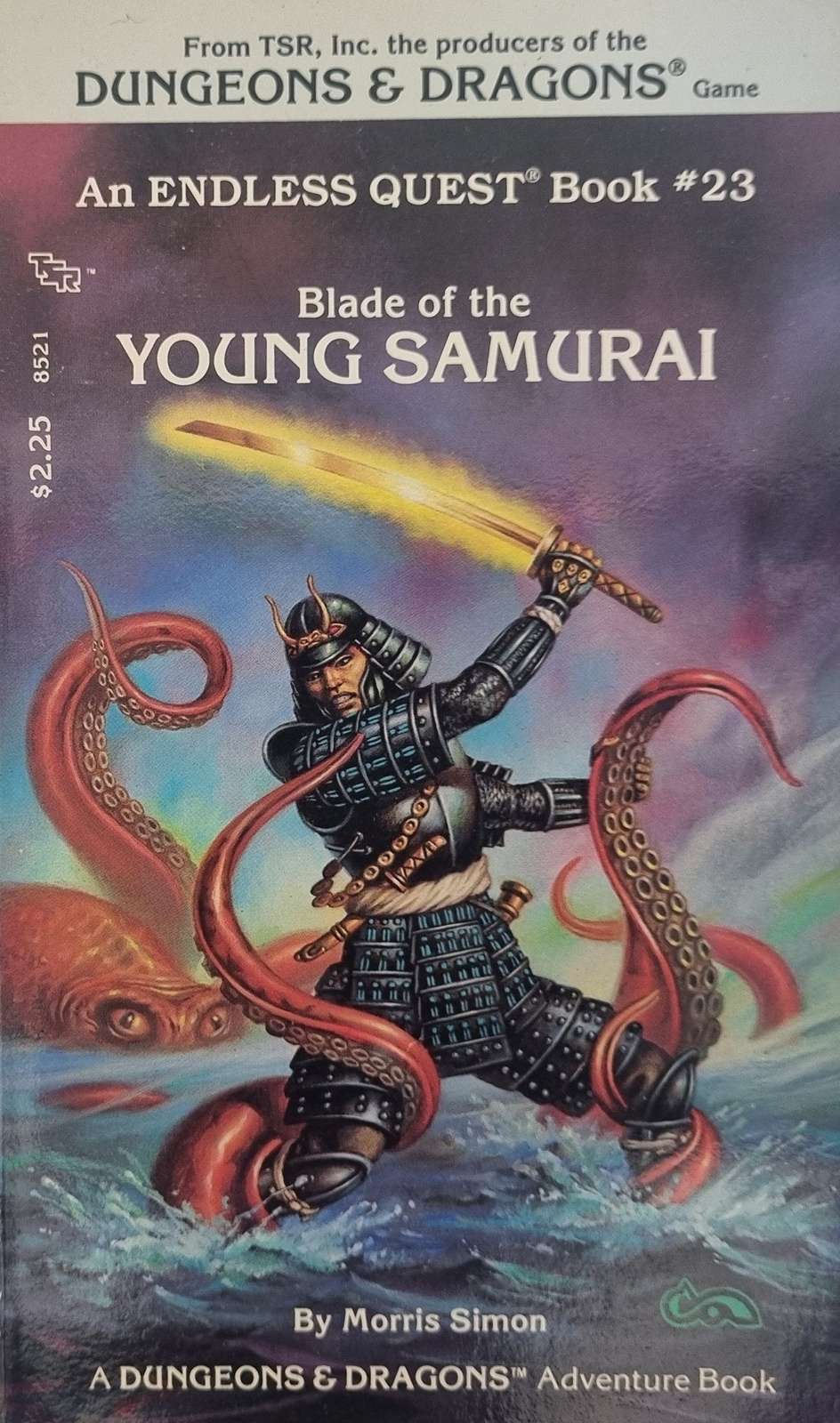 D&D Endless Quest Book - Blade of the Young Samurai #23