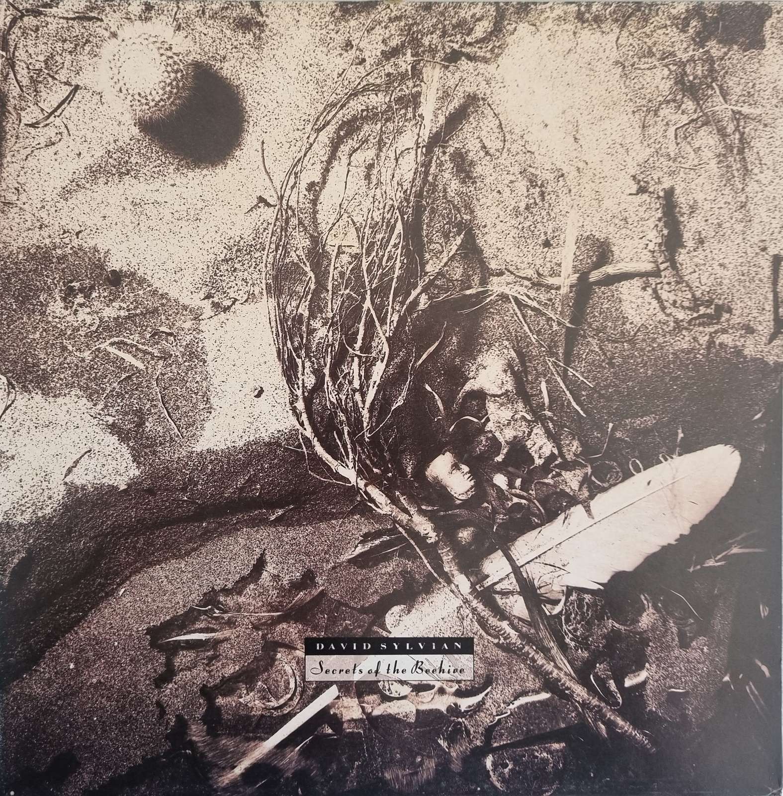 David Sylvian - Secrets of the Beehive LP