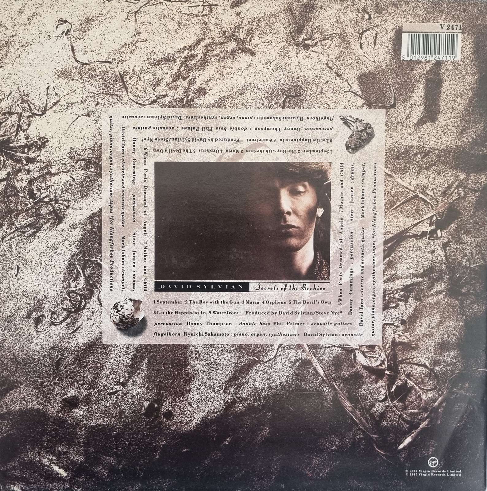 David Sylvian - Secrets of the Beehive LP