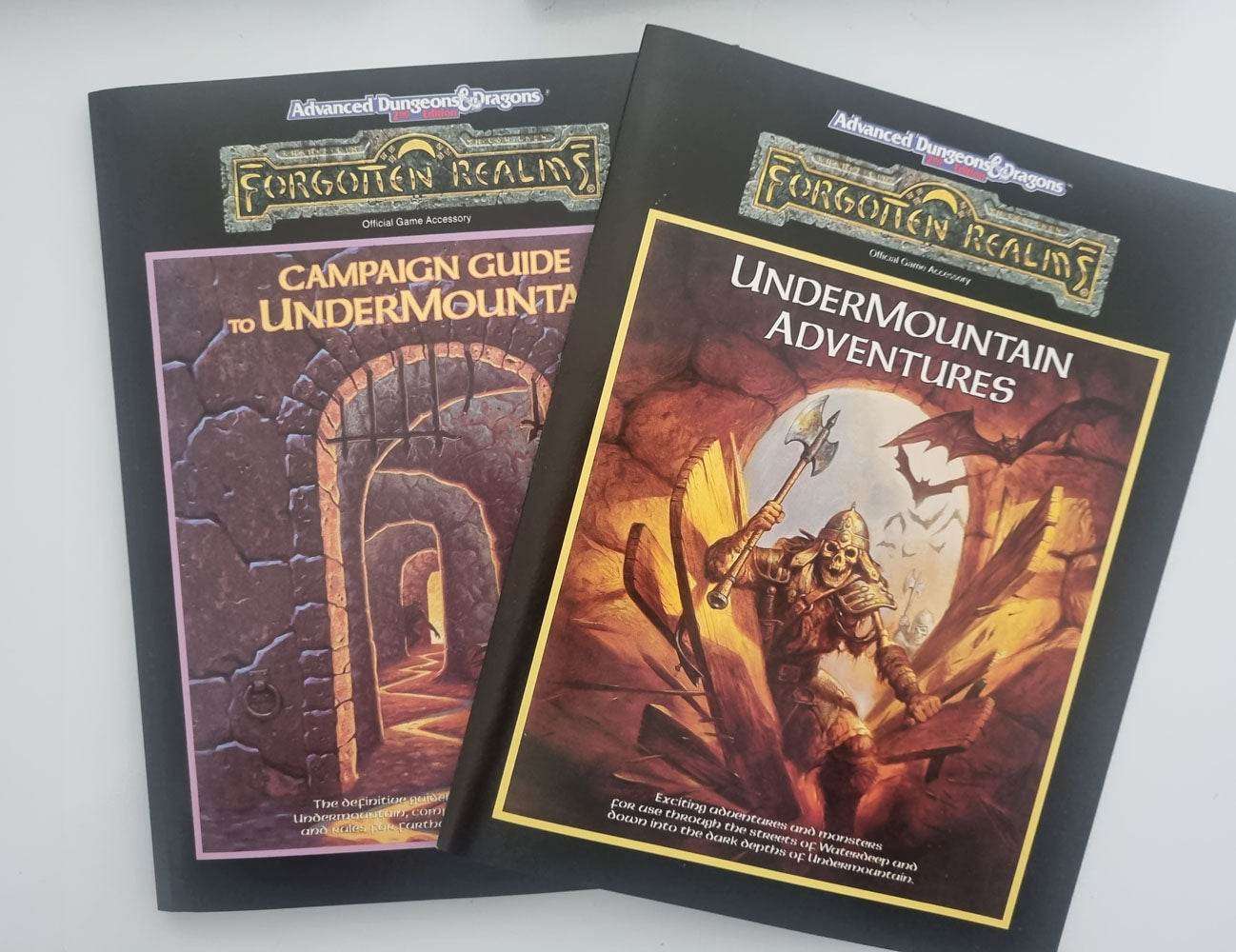 Advanced Dungeons and Dragons: Forgotten Realms - The Ruins of the Undermountain