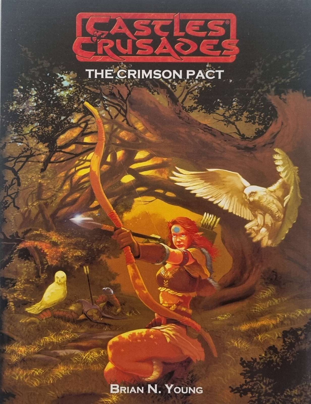 Castles and Crusades - The Crimson Pact Module
