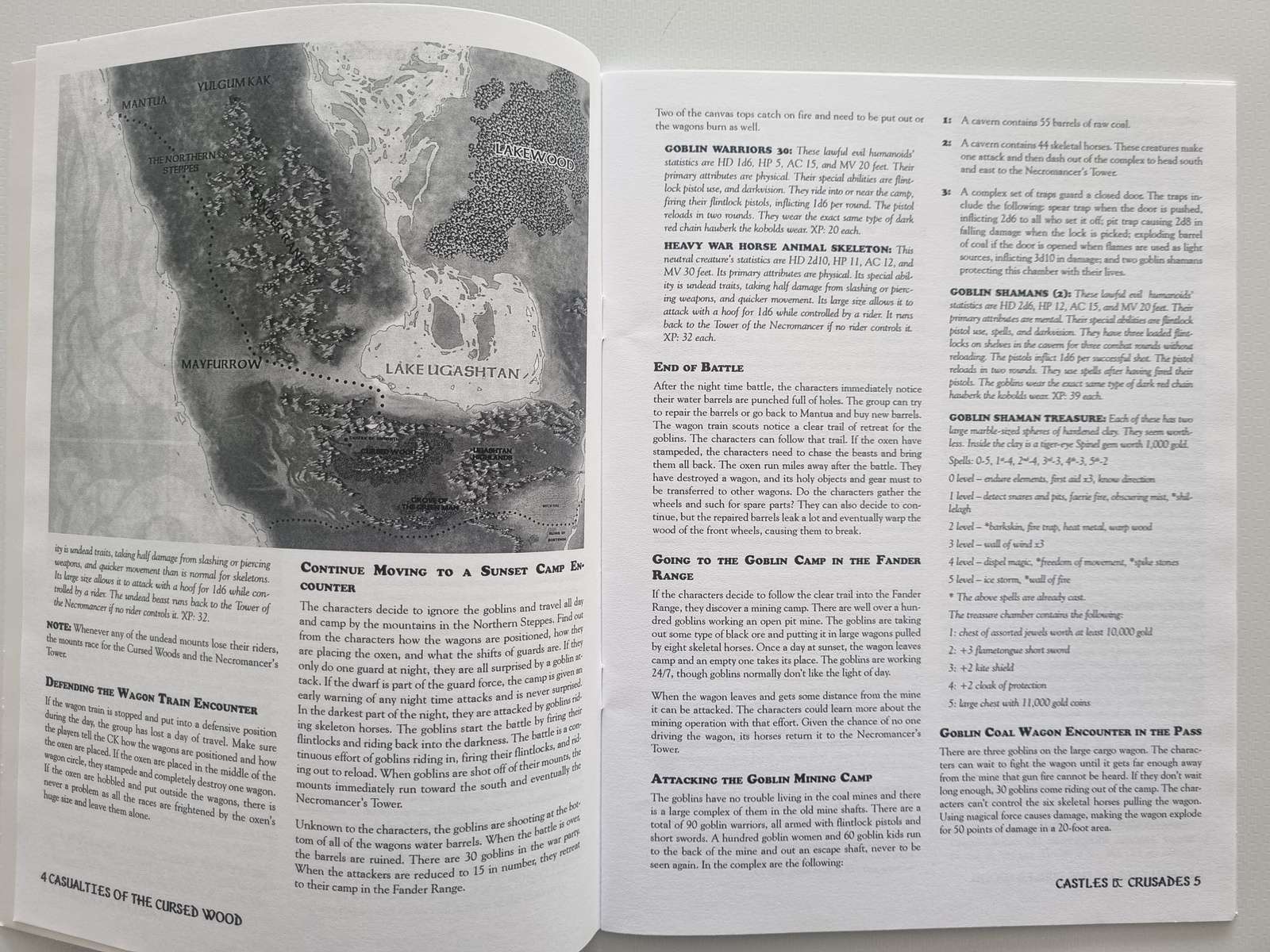Castles and Crusades - Casualties of the Cursed Wood Module
