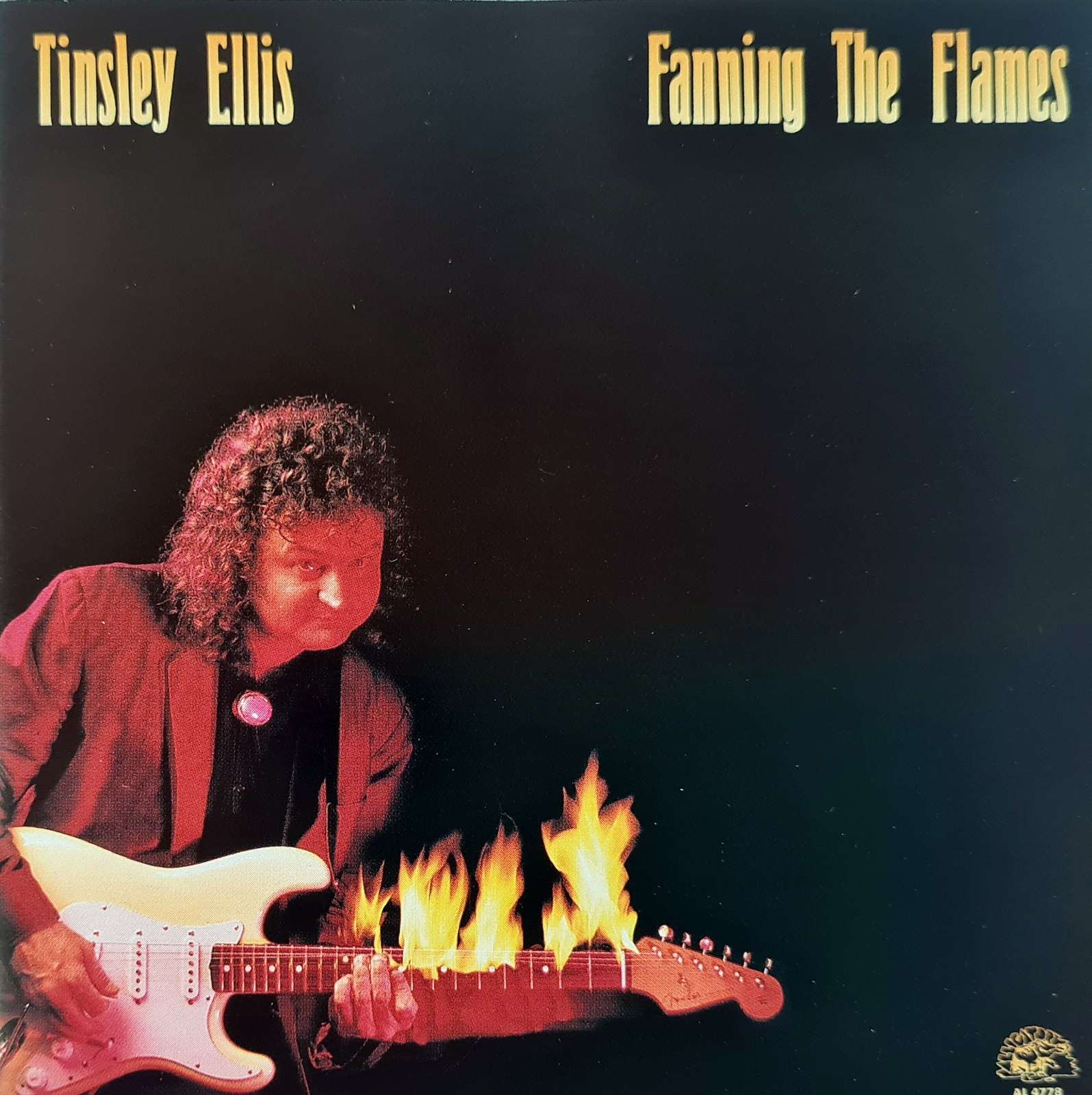 Tinsley Ellis - Fanning the Flames (CD)