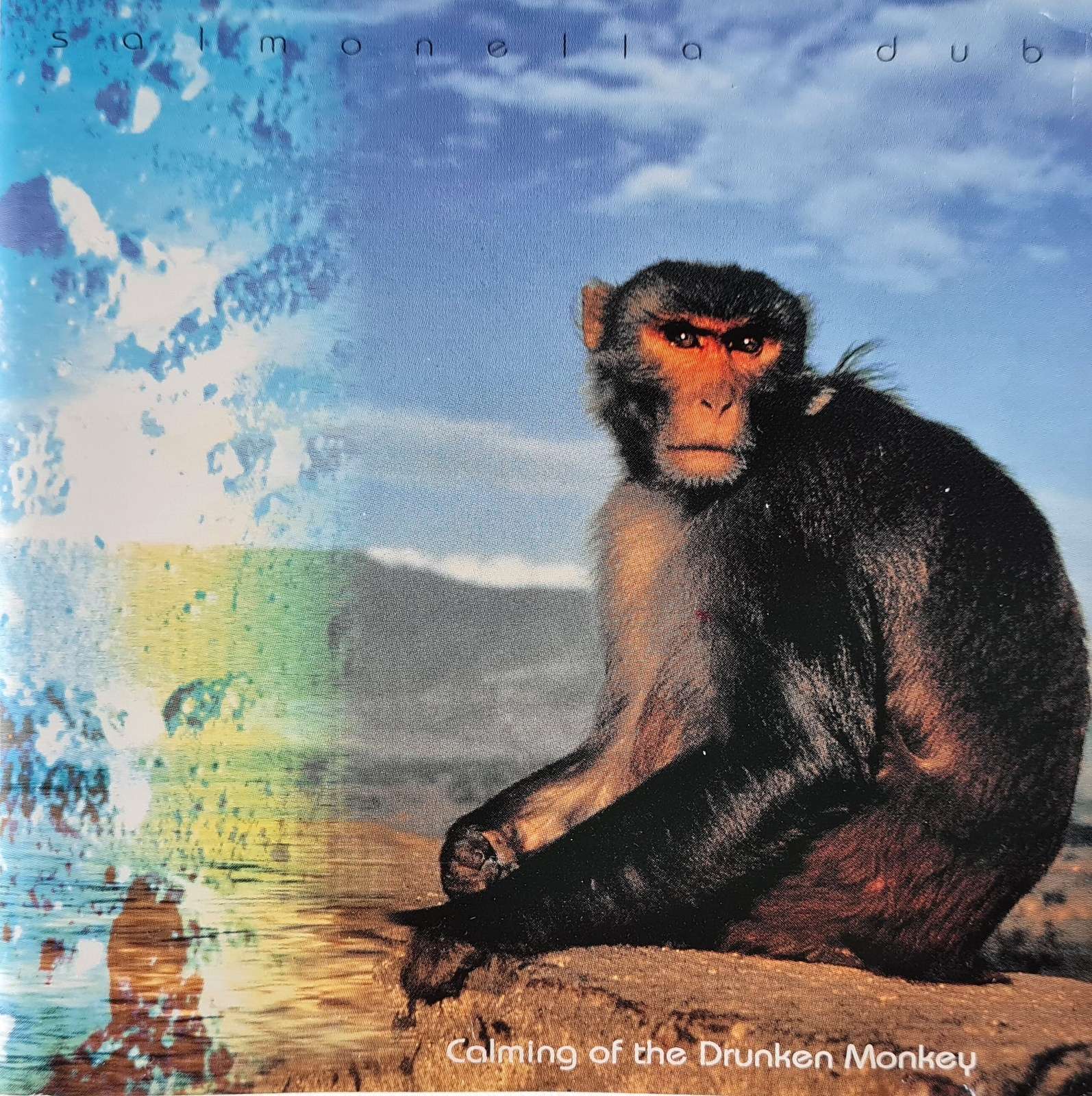 Salmonella Dub - Calming the Drunken Monkey CD