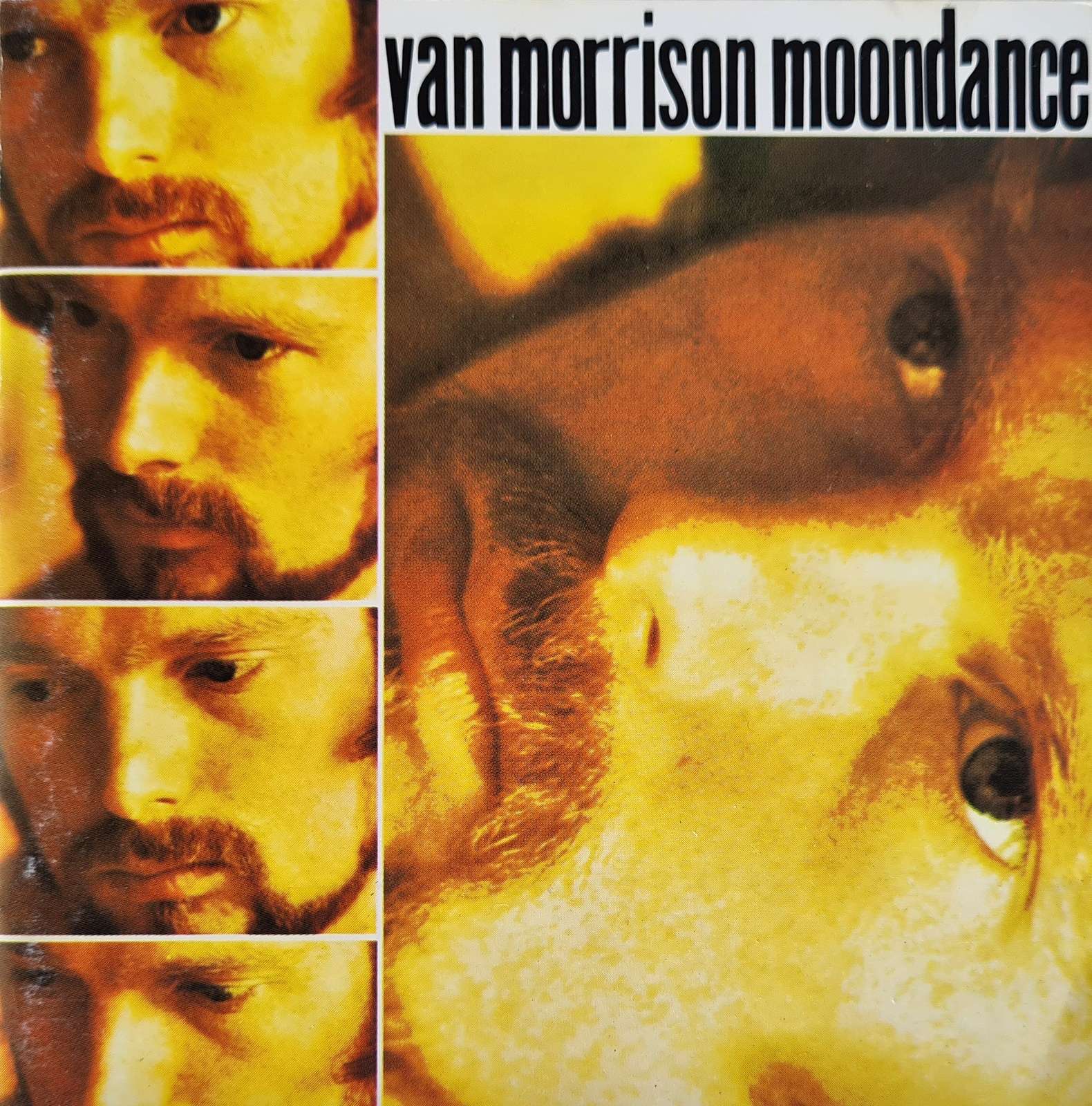 Van Morrison - Moondance CD