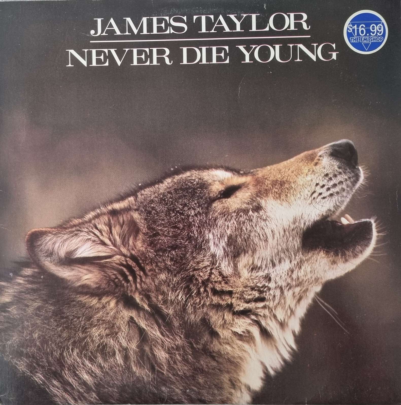 James Taylor - Never Die Young LP