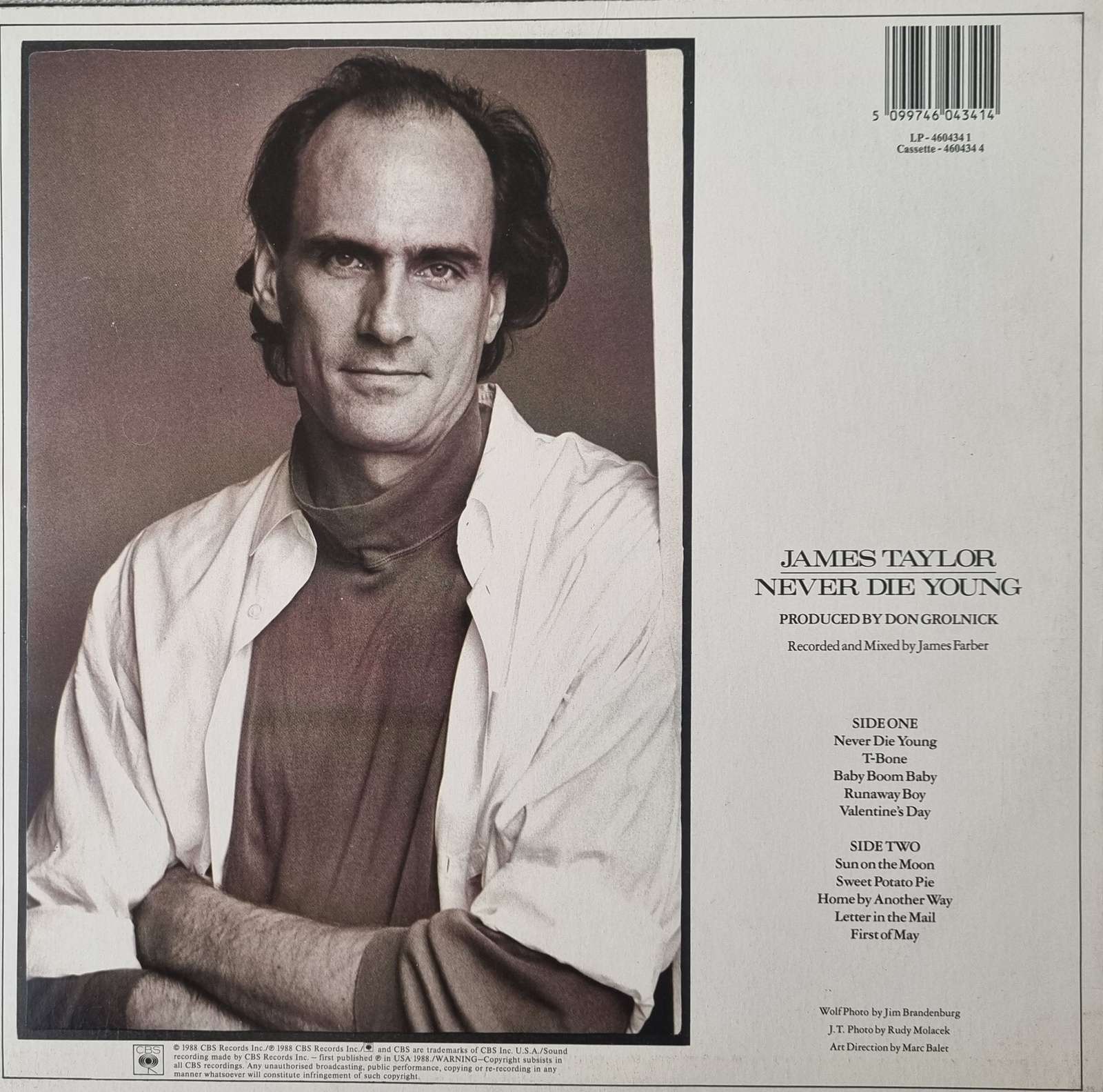 James Taylor - Never Die Young LP