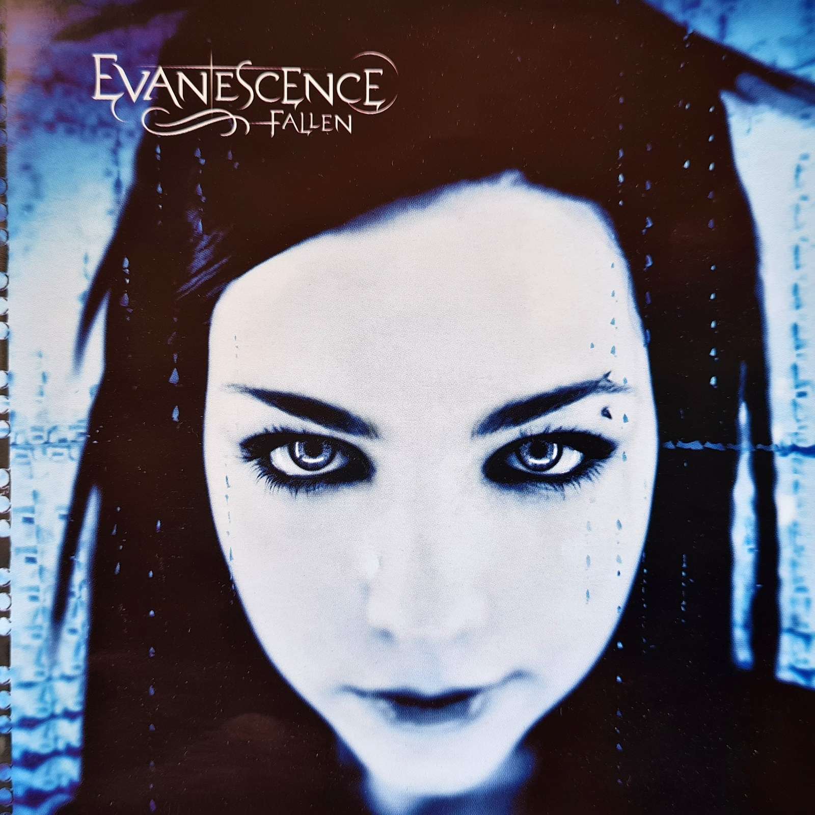 Evanescence - Fallen CD