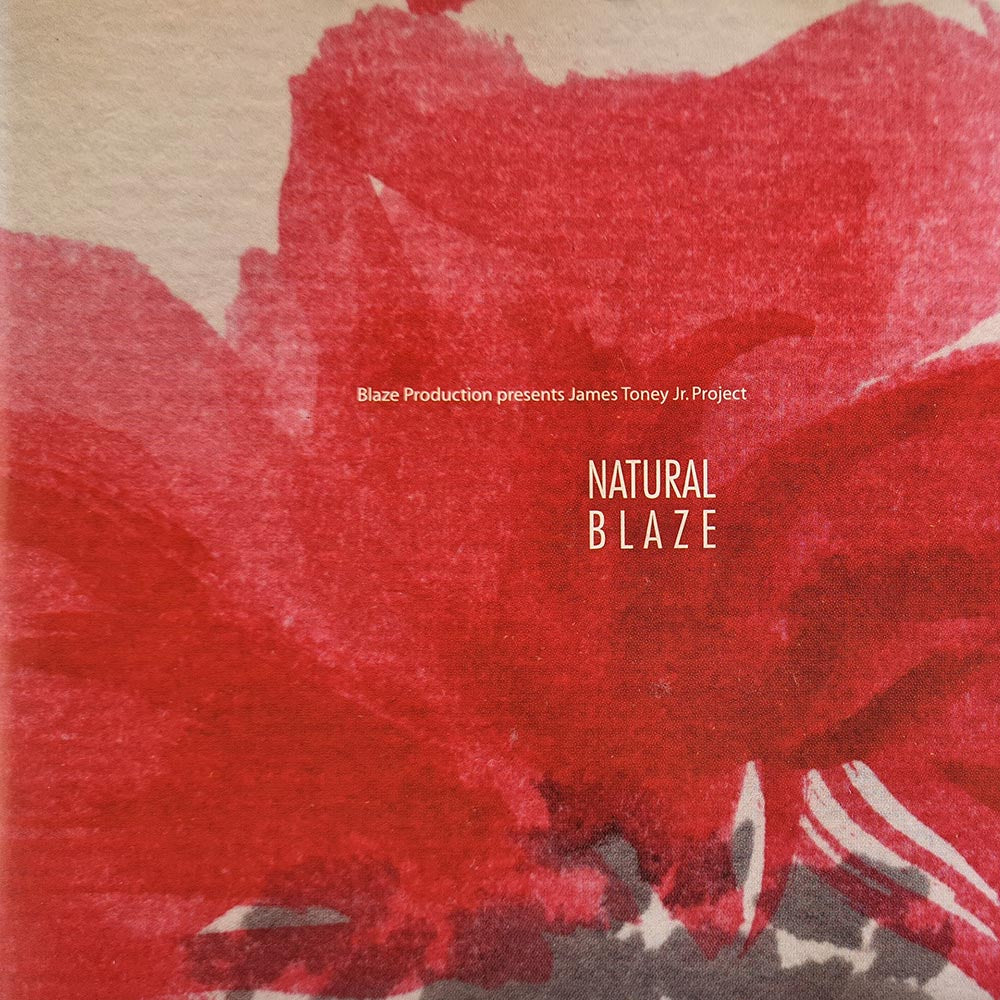 Blaze presents James Toney Jr. Project - Natural Blaze (CD)