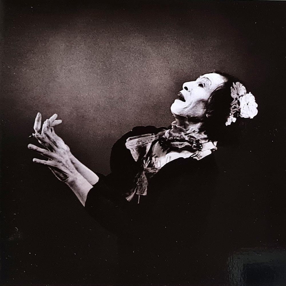 Antony and the Johnsons - The Crying Light (CD)