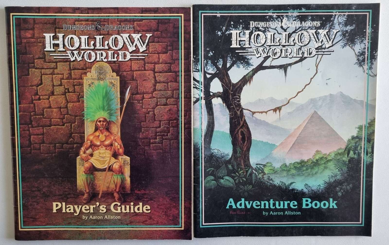 Dungeons and Dragons: Hollow World