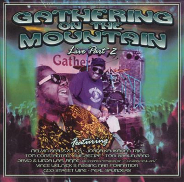 Various : Gathering On The Mountain Live Part 2 (CD, Album)
