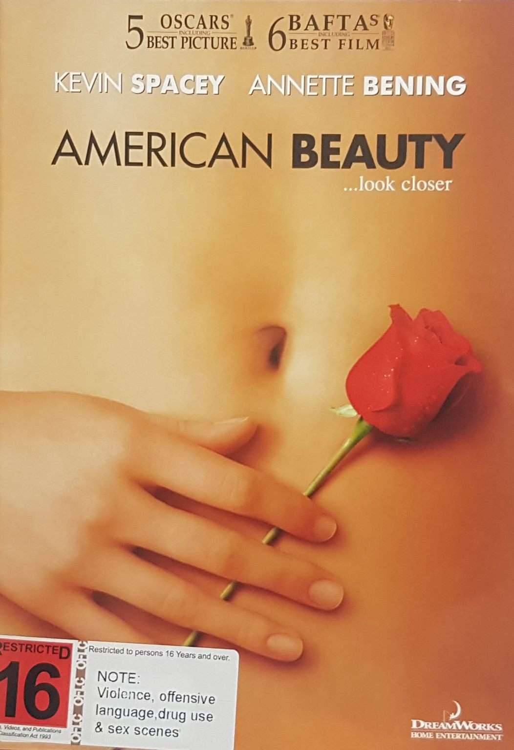 American Beauty (DVD)