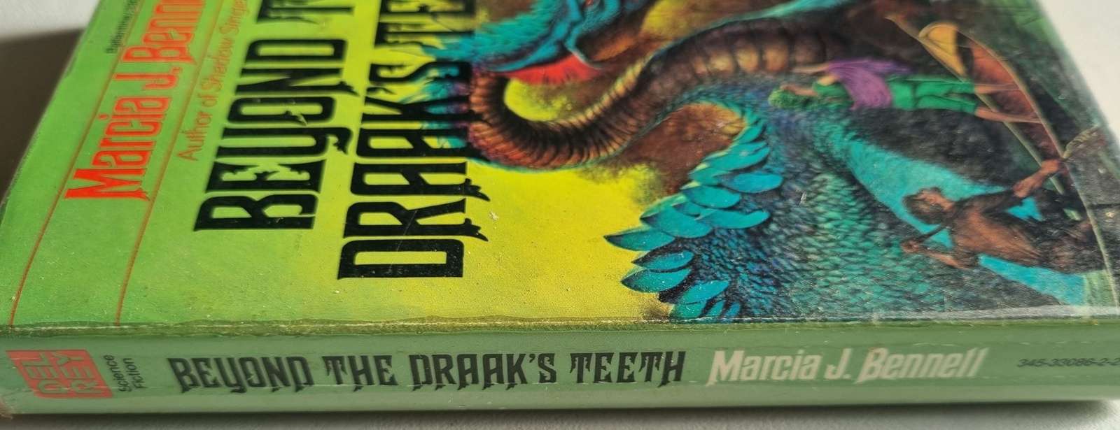 Beyond the Draak's Teeth - Marcia J. Bennett