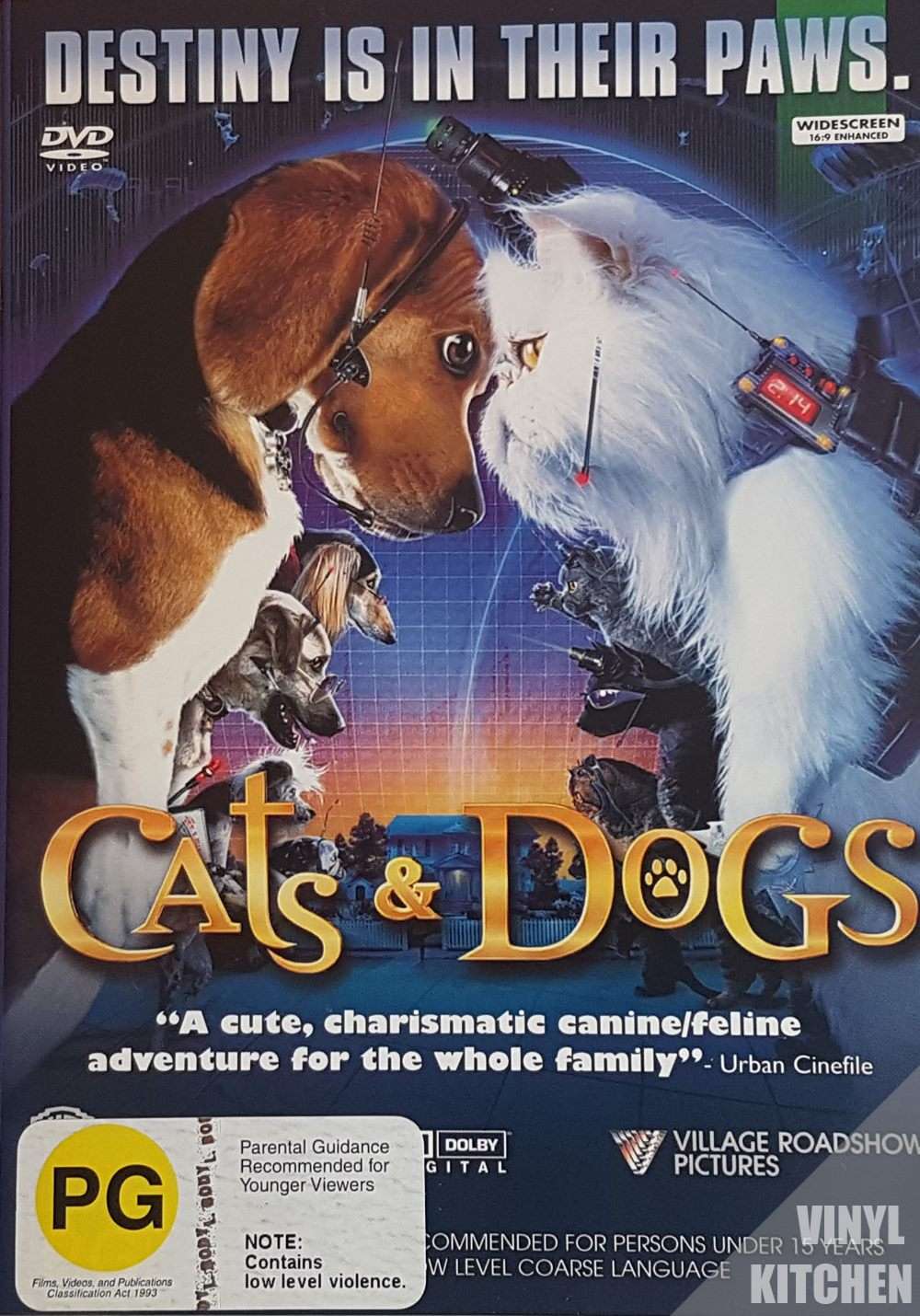Cats and Dogs