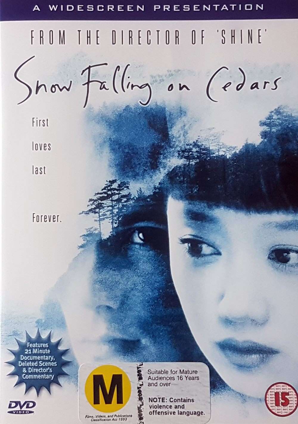 Snow Falling on Cedar Falls