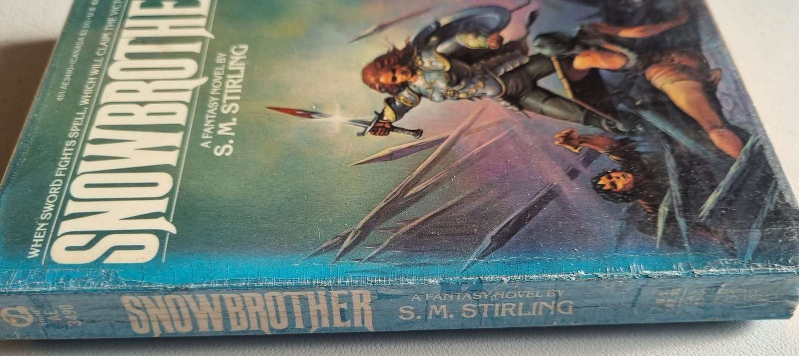 Snowbrother - S.M. Stirling