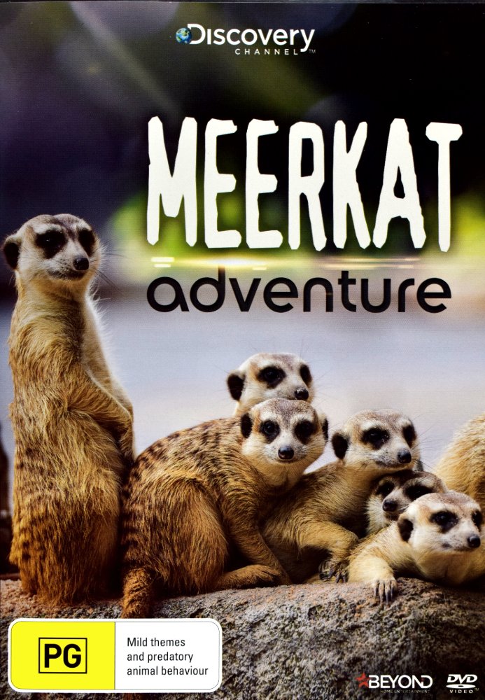 Product image for processed_DSC_2916.jpg