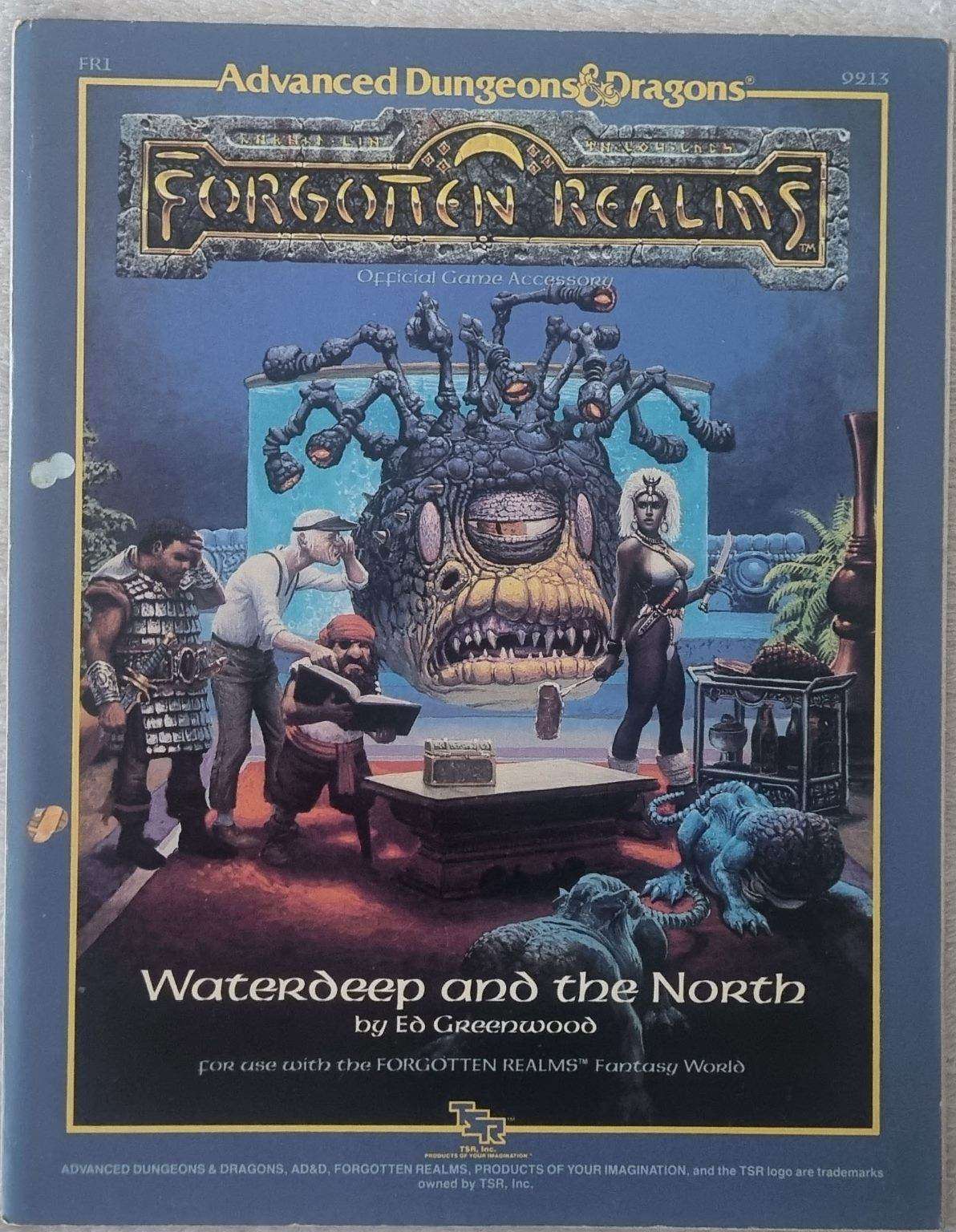 AD&D - Forgotten Realms - Waterdeep and the North (FR1 9213) Default Title