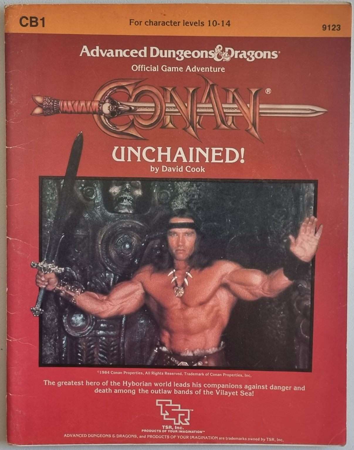 Advanced Dungeons and Dragons Module - Conan Unchained! (CB1 9123) Default Title