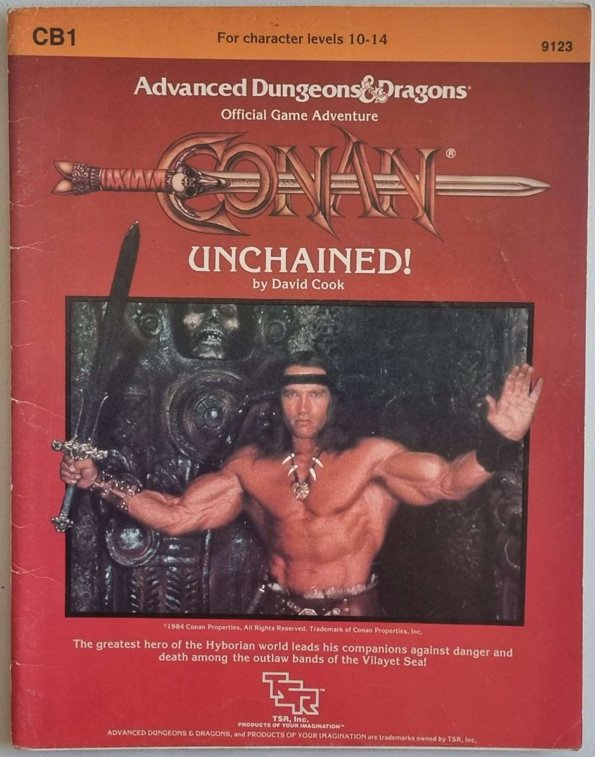 Advanced Dungeons and Dragons Module - Conan Unchained! CB1 9123