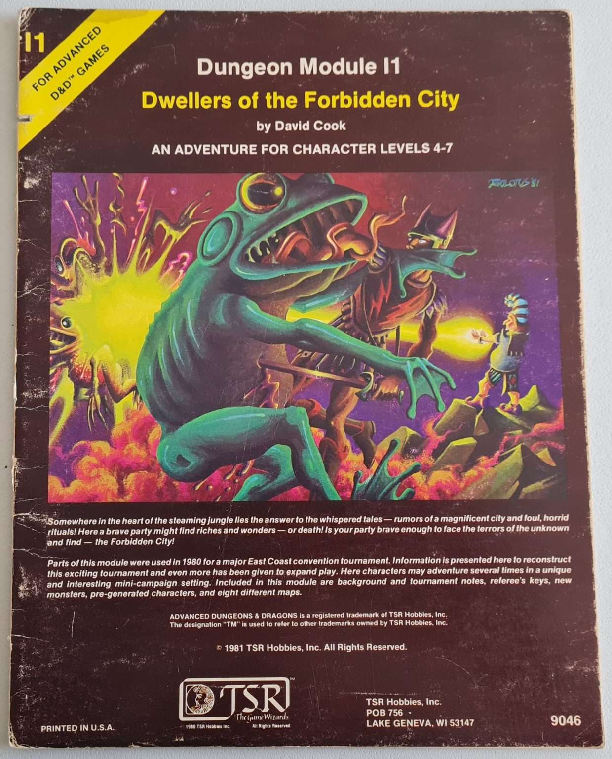 Advanced Dungeons and Dragons Module - Dwellers of the Forbidden City I1