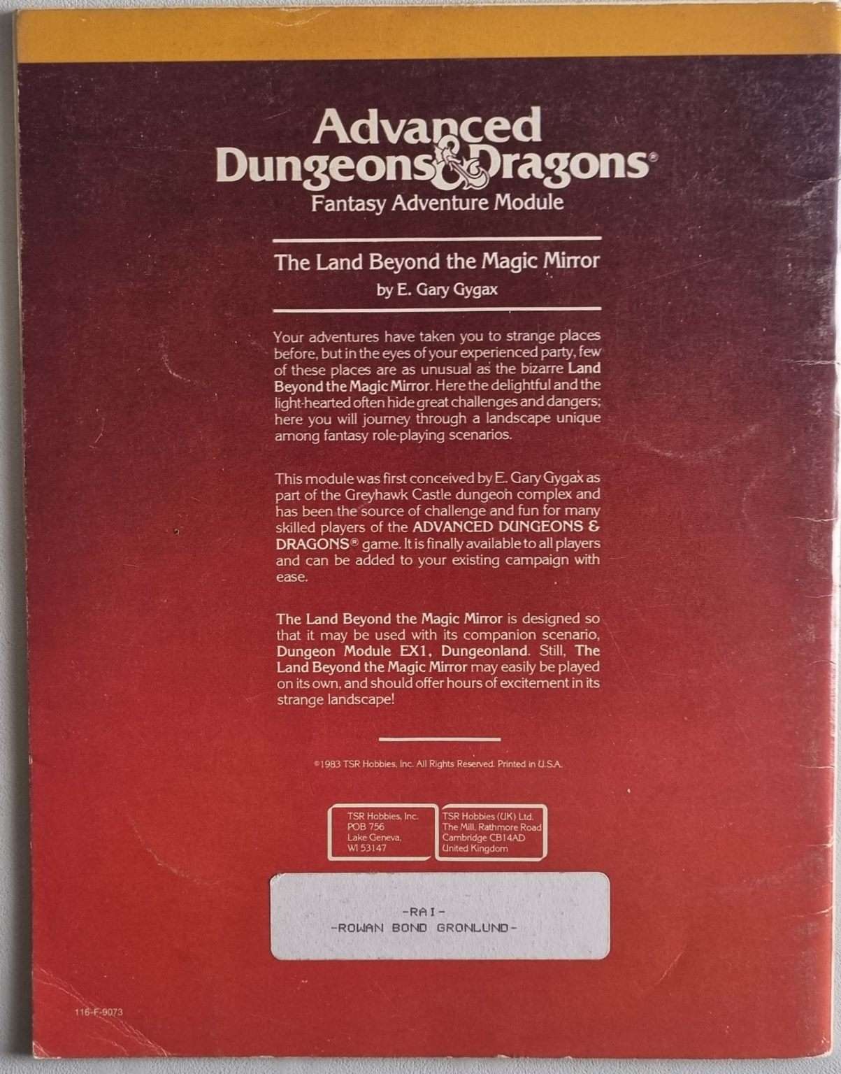 Advanced Dungeons and Dragons - The Land Beyond the Magic Mirror (EX2 9073) Default Title