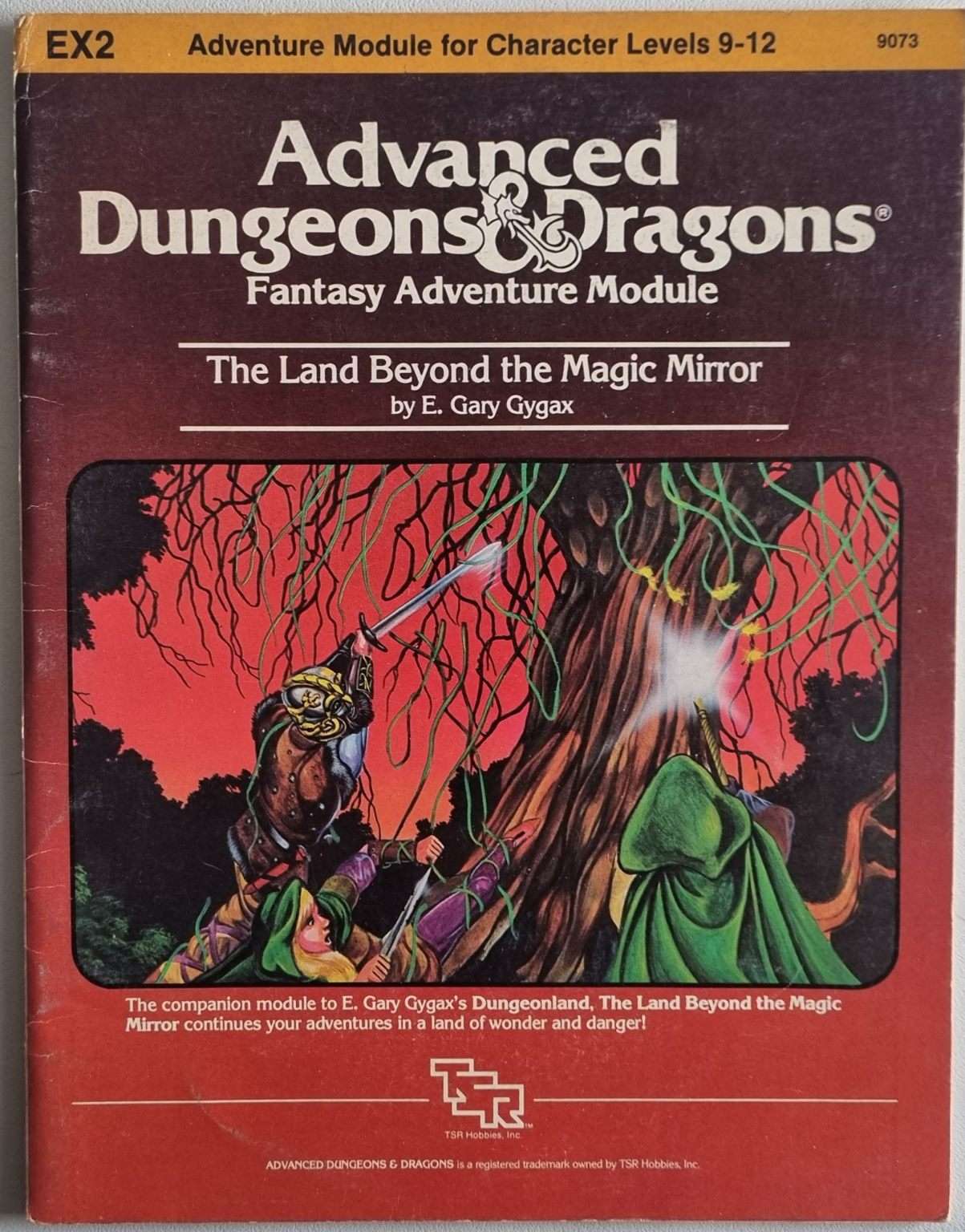 Advanced Dungeons and Dragons - The Land Beyond the Magic Mirror