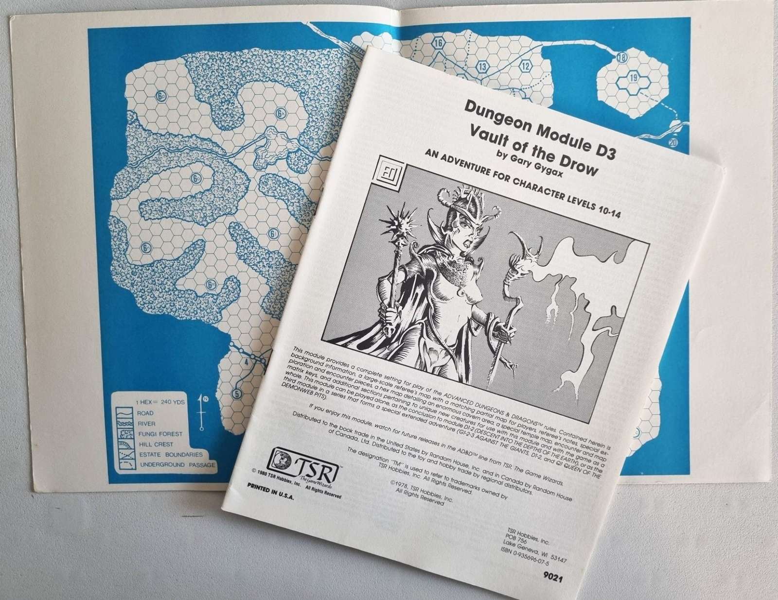 Advanced Dungeons & Dragons - Vault of the Drow (D3) Default Title