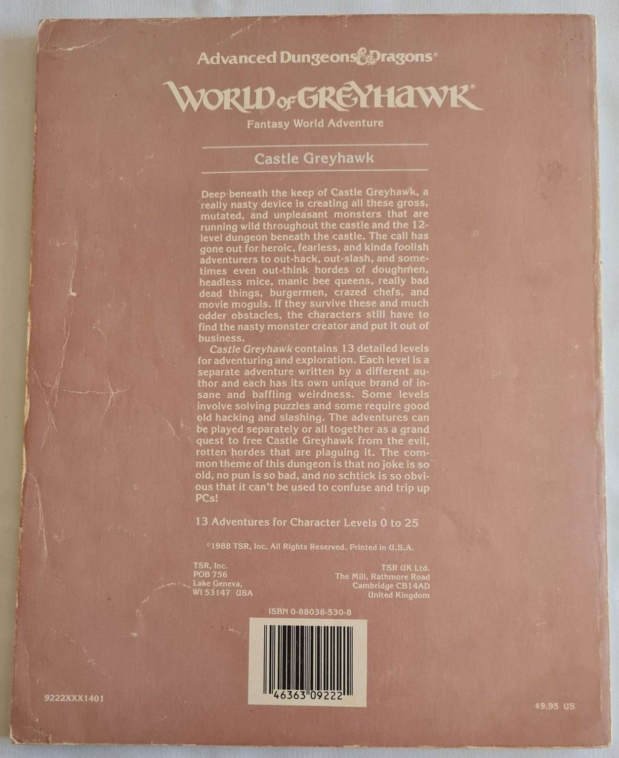 Advanced Dungeons and Dragons - World of Greyhawk - Castle Greyhawk
