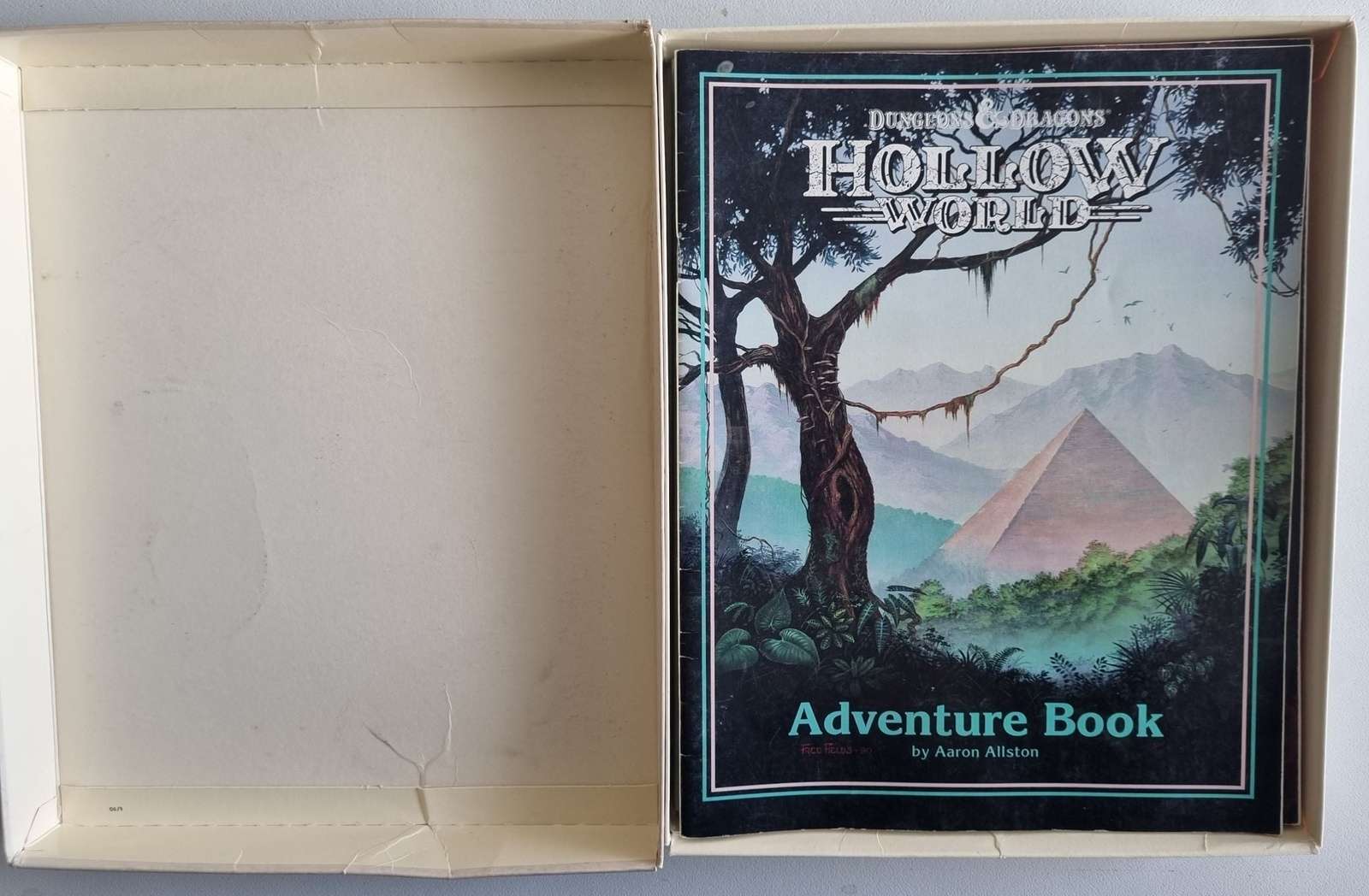 Dungeons and Dragons: Hollow World Default Title