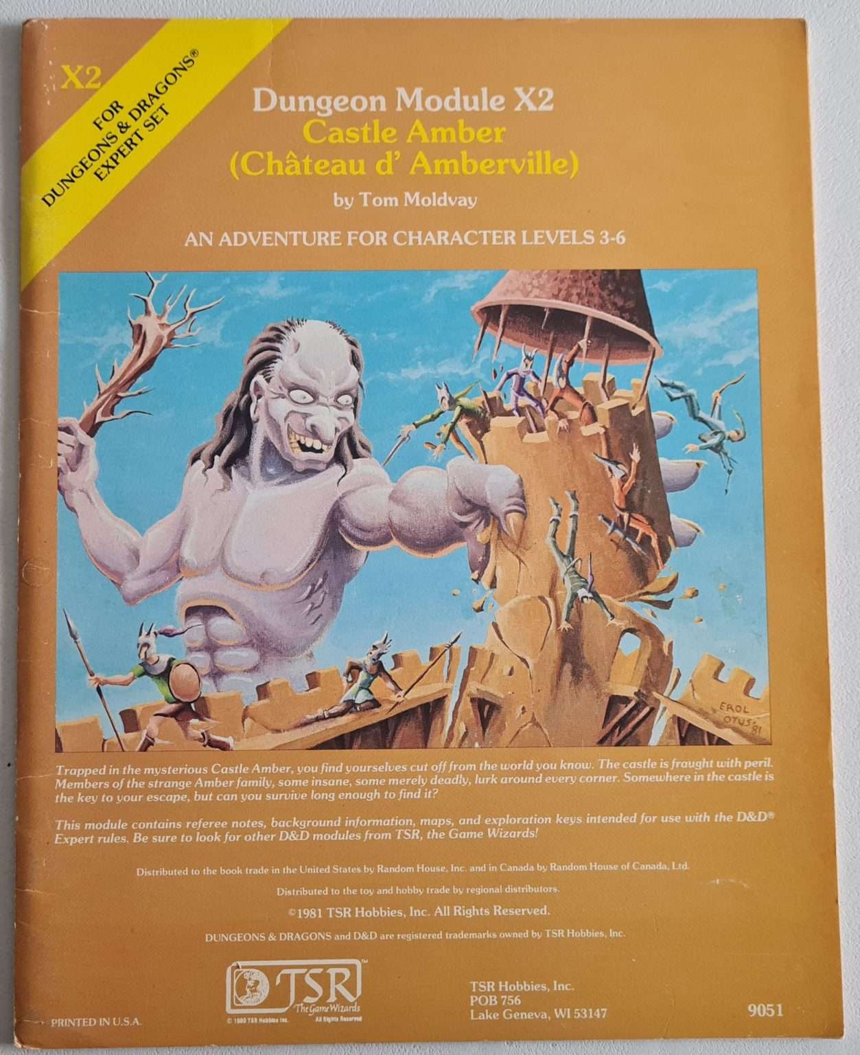 Dungeons & Dragons - Castle Amber Chateau d' Amberville X2