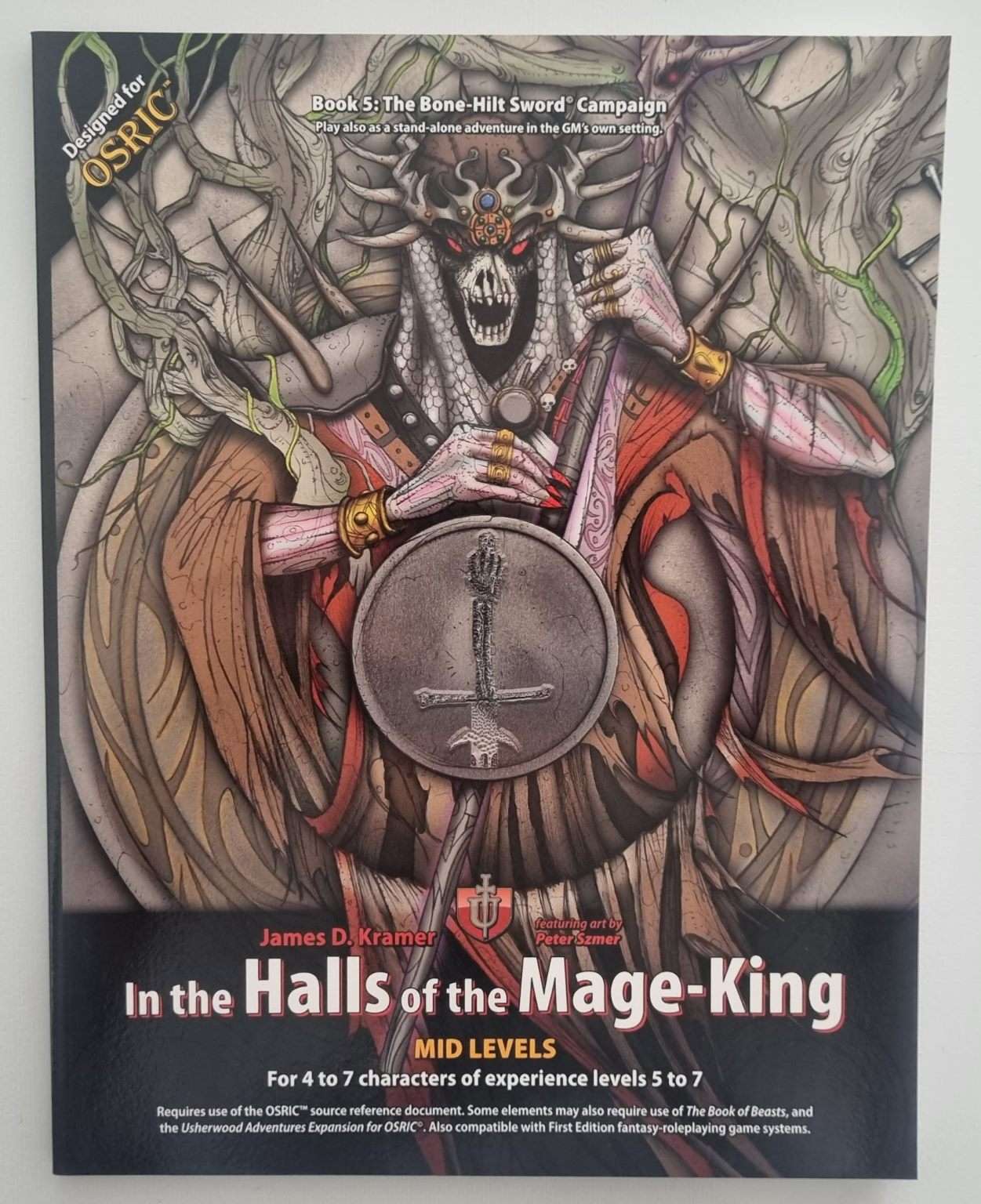 OSRIC - In the Halls of the Mage-King - Book 5: The Bone Hilt Sword Campaign