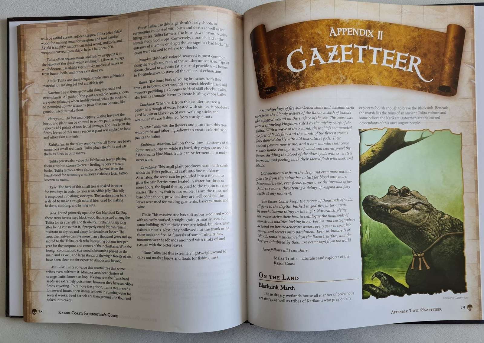 Pathfinder - Razor Coast - Freebooter's Guide 1e