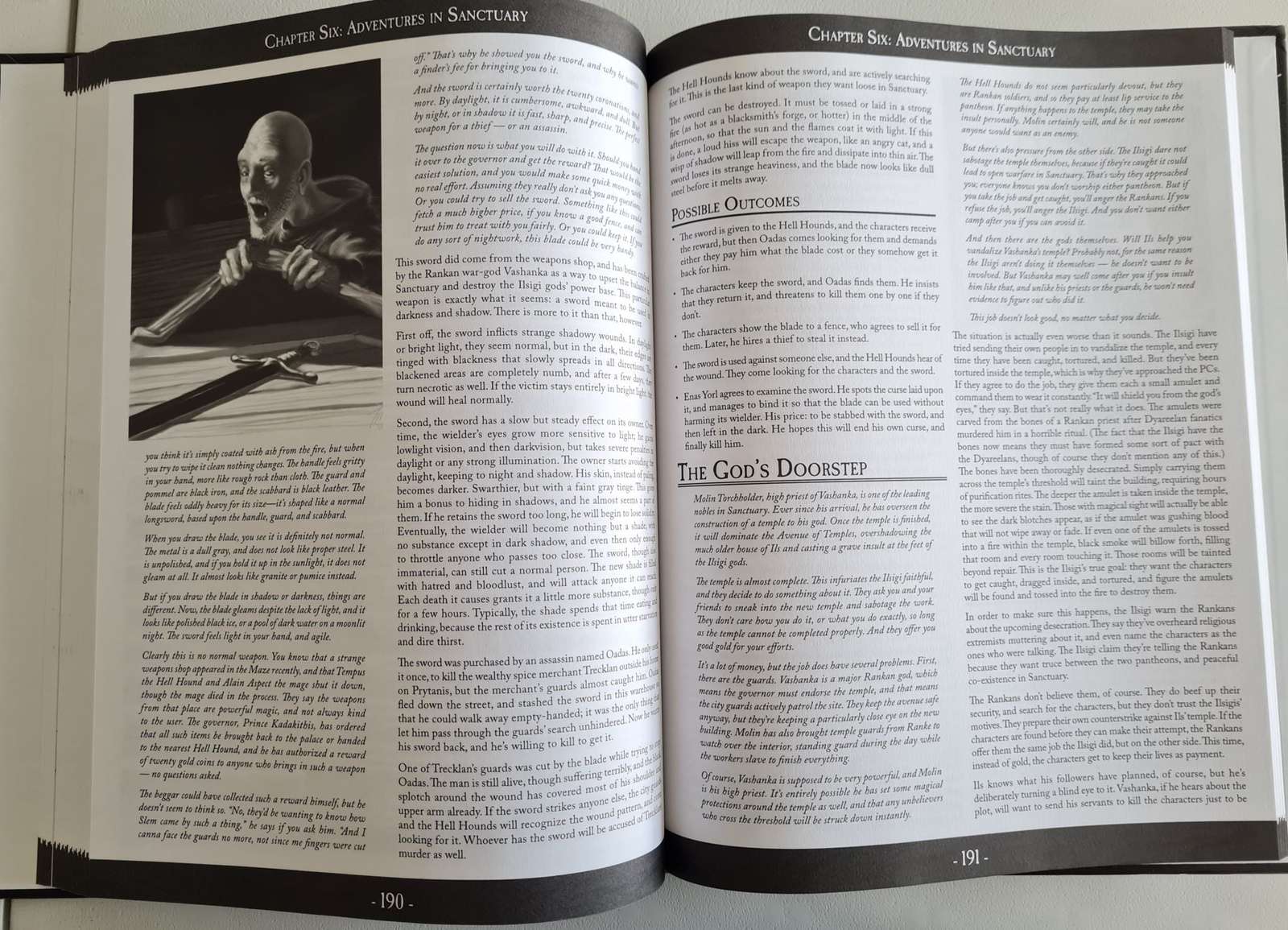 Thieves' World: Shadowspawn's Guide to Sanctuary D20 System