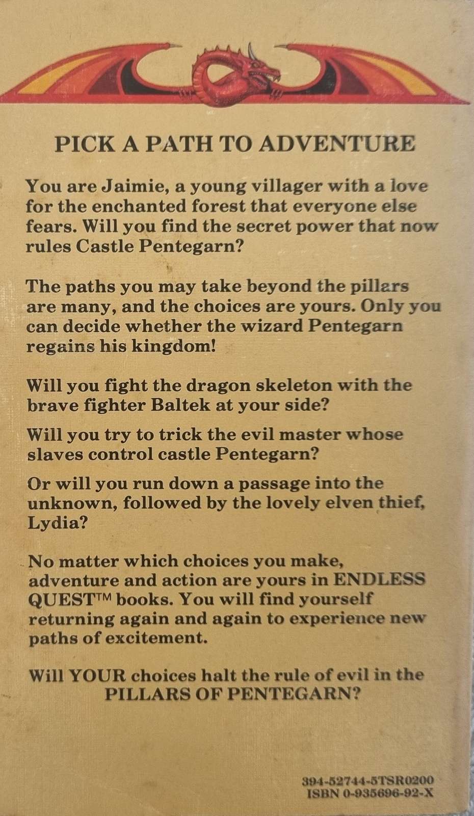 D&D Endless Quest Book - Pillars of Pentegarn #3