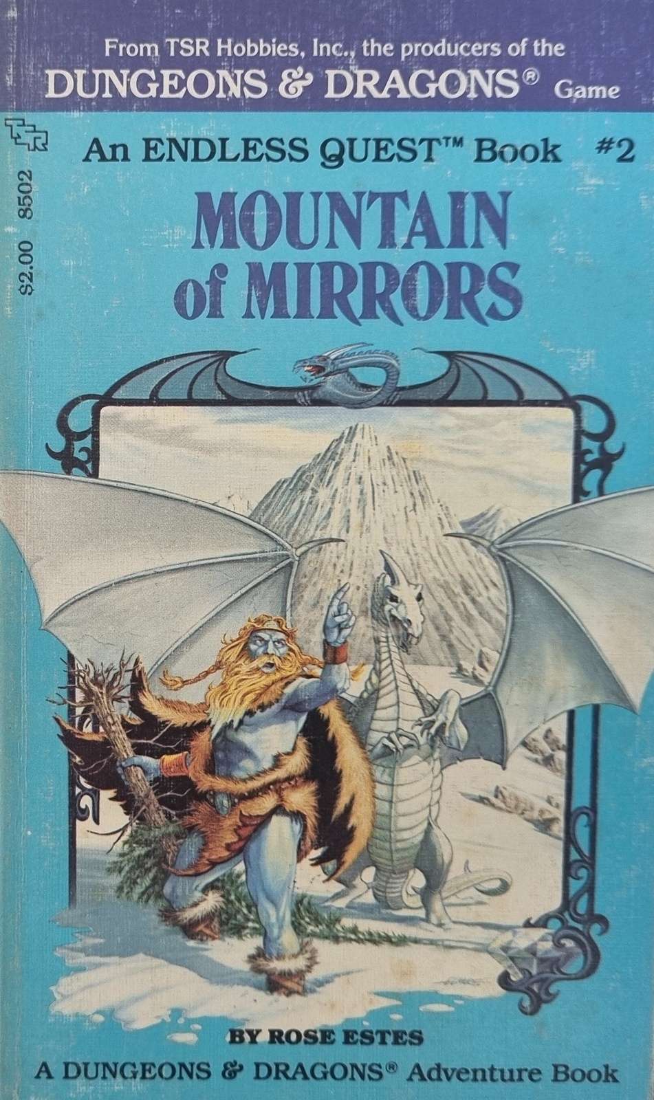 D&D Endless Quest Book- Mountain of Mirrors #2