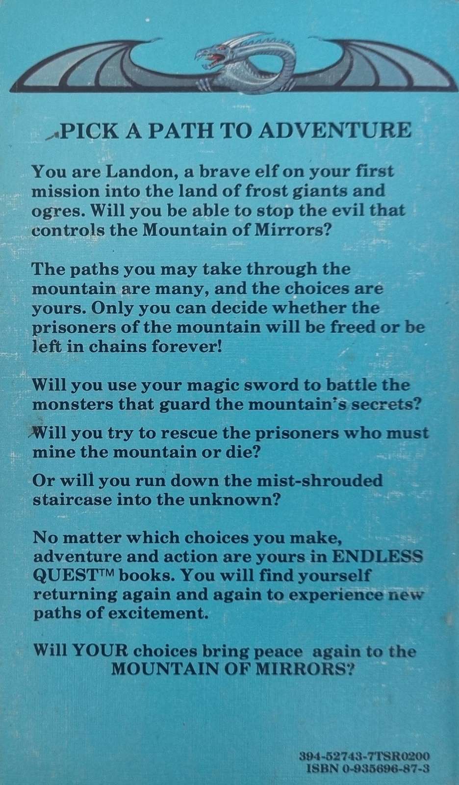 D&D Endless Quest Book- Mountain of Mirrors #2