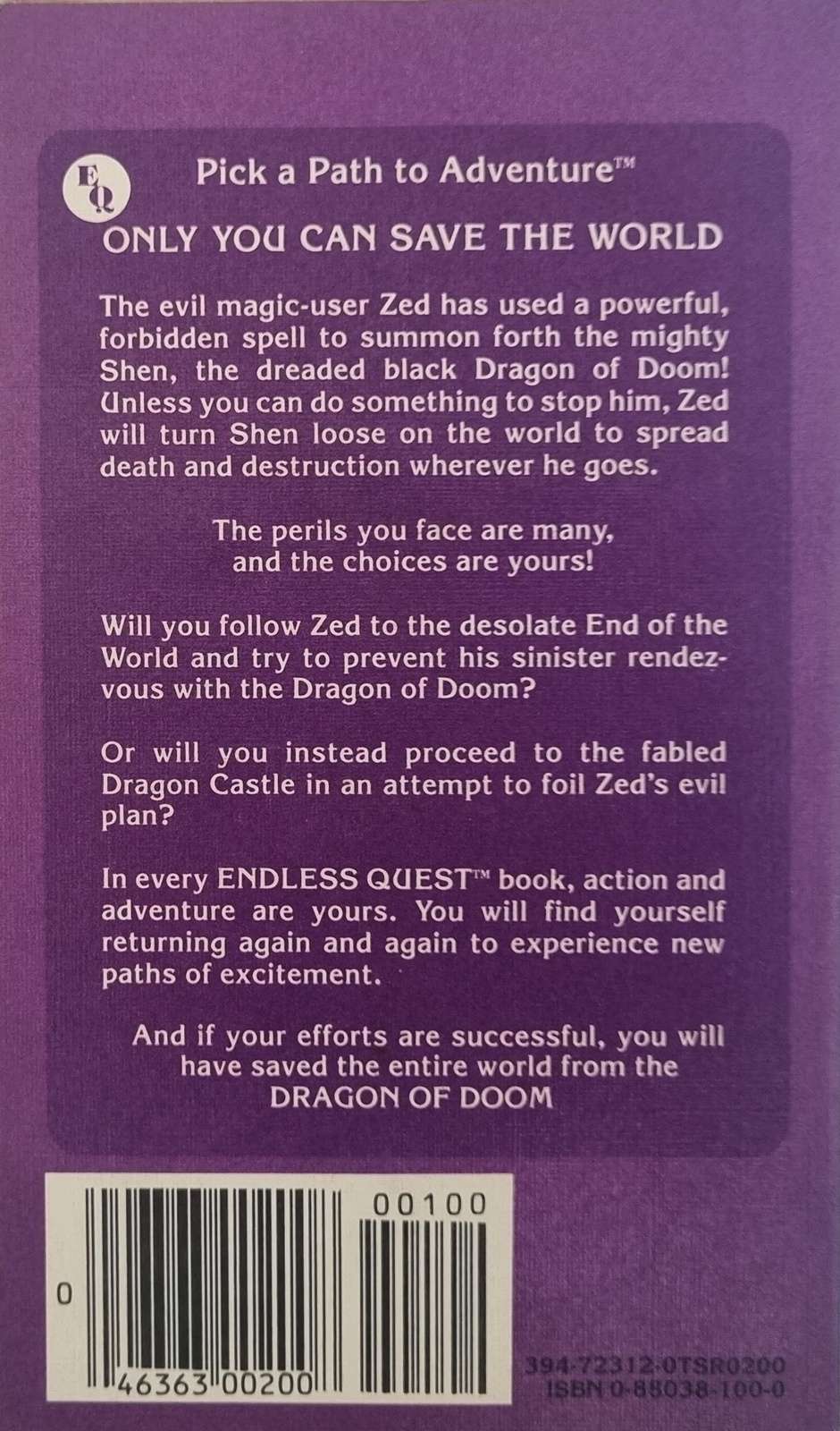 D&D Endless Quest Book - Dragon of Doom #13