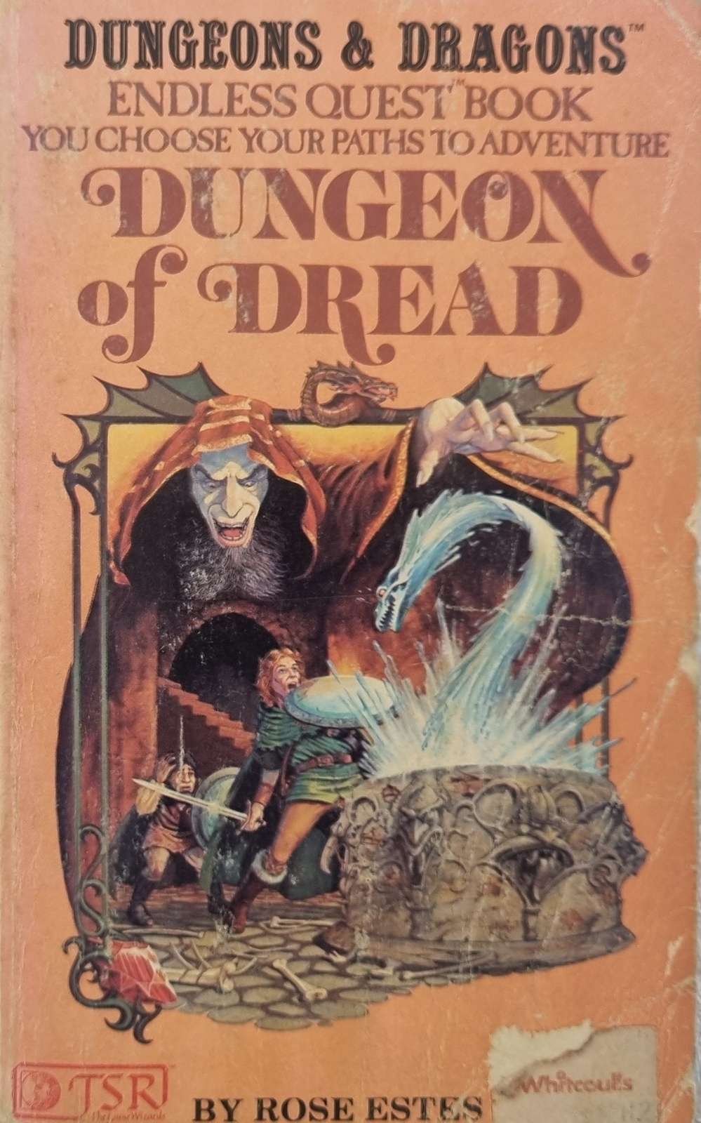 D&D Endless Quest Book - Dungeon of Dread #1
