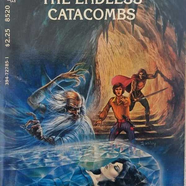 洋書 The Endless Catacombs - D&D End.Quest#22 D&D Endless Quest Book - The Endless Catacombs #22