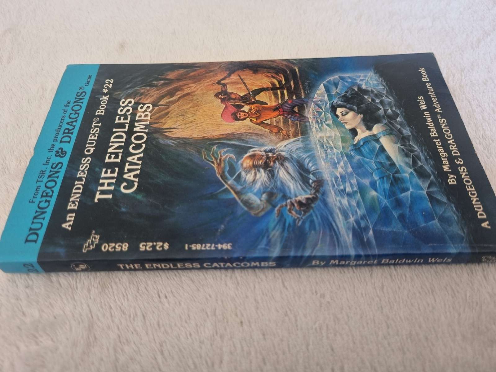D&D Endless Quest Book - The Endless Catacombs #22